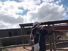 -希拉穆仁草原
