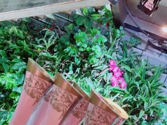 -肉串汪(望京店)