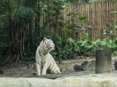 -广州长隆野生动物世界