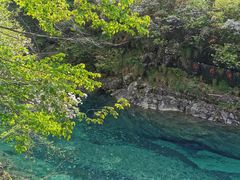 -石台牯牛降景区