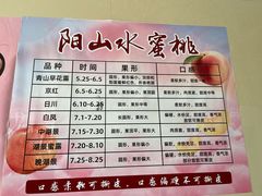 -老袁家蜜桃农场·阳山水蜜桃