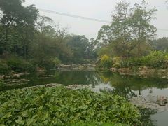 -广西壮族自治区药用植物园