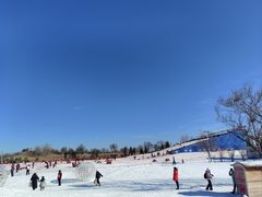 -绿野森林乐园冰雪季