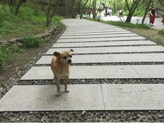 -野三坡百里峡景区