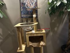 -巴拉吉·SPA·按摩养生馆