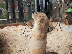 -珠海海泉湾神秘岛亲子乐园