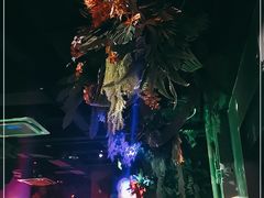 -贰麻酒馆(1912店)