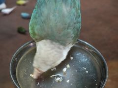 -正佳雨林生态植物园
