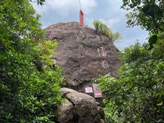 -东莞市大岭山森林公园