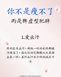 -Fundi张玉珊修身堂·indiba·BTL科技瘦身