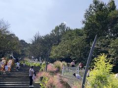 -杭州少年儿童公园