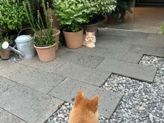 -自由生长植物工作室(深港花卉中心店)