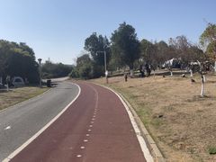 -瑶湖郊野森林公园