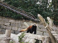 -上海野生动物园