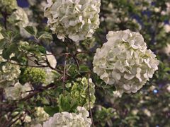 -大龙山(地铁站)