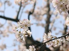 -boundaries籬苑(瑞光创意工厂-贰号院店)