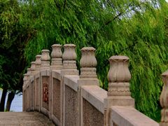 -嘉北郊野公园
