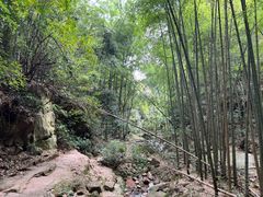 -莫干山风景区