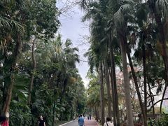 -南宁南湖公园