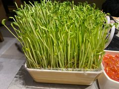 -海底捞火锅(金光华店)