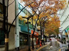 -北京王府井烤鸭(泰兴店)