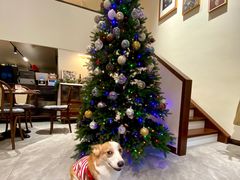 -艾蜜西餐厅(梅园店)