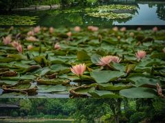 -永泉忆江南12景区