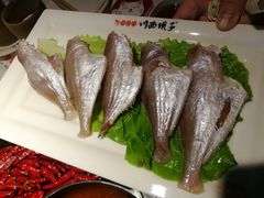 -川西坝子(老军营店)