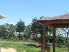 -石家庄市动物园