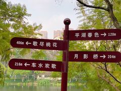 -重庆彩云湖湿地公园