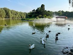 -北京野生动物园