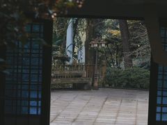 -南山植物园