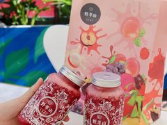 -野萃山·潮汕厚果汁(十亩地店)