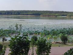 -丁香湖公园