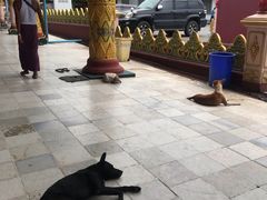 -ခြောက်ထပ်ကြီးရွှေသာလျောင်းဘုရားကြီး