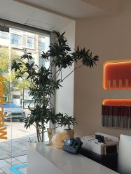 -WENDY·温迪皮肤管理