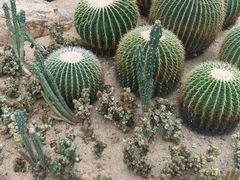 -华南国家植物园-售票处