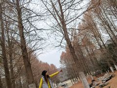 -南山风景名胜区