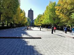 -玲珑塔公园