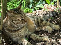 -奈雪的茶(亨特国际广场店)