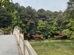 -铁山坪森林公园