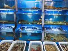 -桔子海鲜烧烤大排档(金沙滩店)