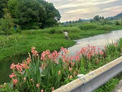 -东钱湖旅游度假区