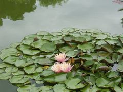 -国家植物园南园