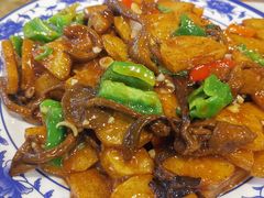 -石老头关东饺子王·东北菜(嘉华鑫城店)