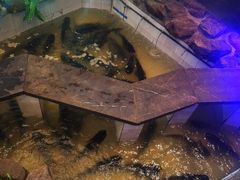 -春盛渔府(牛首山店)