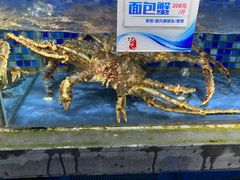 -谢氏老金口(江夏武昌大道店)