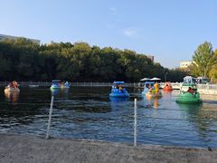 -哈尔滨文化公园