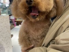-FAELING PETS美天灵宠物(富力广场店)