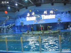 -苏州海洋馆